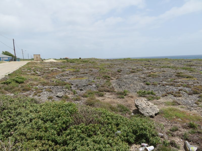 Land For Sale in Coles Barbados